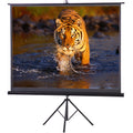 Projector Screen 120 inch Tripod Portable 6x8 Feet 4:3MW Speed-X.